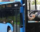 Amit Ez a buszsofőr tett tegnap, arra még most is nehéz szavakat találni! Legyetek kedvesek osszátok meg, hogy mindenki láthassa milyen emberek élnek közöttünk!