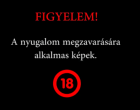 Vérlázító videót tett közzé a rendőrség egy gátlástalan autósról