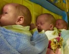Csodálatos híreket és fotókat kaptunk a hajdúszoboszlói félárva Mira,Milán és Léna babákról!Köszöntsük őket sok-sok szeretettel!