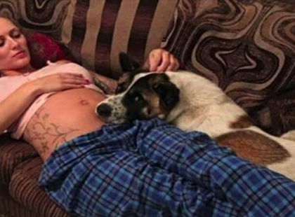 A kutya csak bámulja a terhes gazdáját és odabújik hozzá - ekkor a nő rájön hogy valami baj van