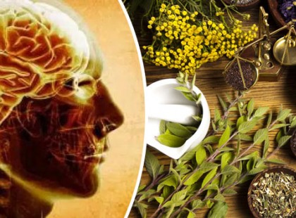 Ez a 10 gyógynövény többszörösére képes növelni az agyműködésed! Érdemes kipróbálnod őket!