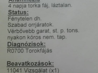 A kislányom elment az ügyeletre torokfájással.Megállapították, hogy mandulagyulladás..10 éve nincs mandulája