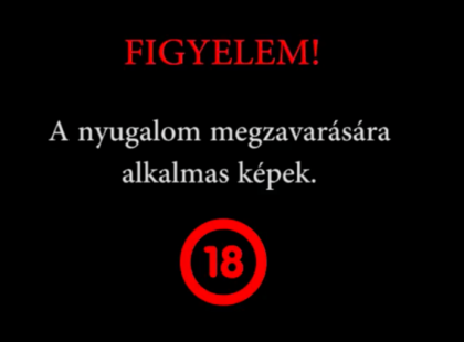 Vérlázító videót tett közzé a rendőrség egy gátlástalan autósról