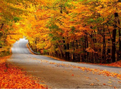 Most már biztos, idén NEM lesz ősz! Helyette viszont lesz EZ