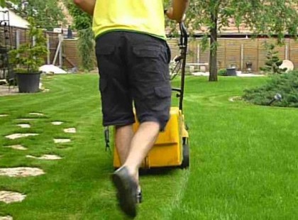 200 ezer forintra büntethetik azt, aki vasárnap nyír füvet vagy zajjal járó munkákat végez