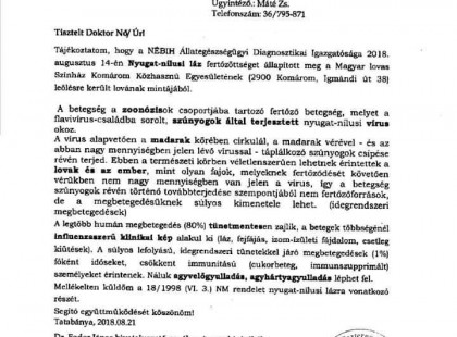 Hír sajnos igaz! Terjed a nyugat-nílusi láz és halálos áldozatot is szedett idén Magyarországon a nyugat-nílusi láz, de nem verik nagydobra