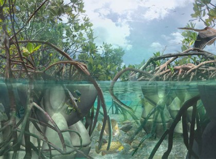 Magyarok találmánya állíthatja meg a tengerszint emelkedést