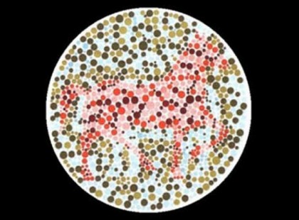 Melyik állatot látod először a képen? Érdekes dolgokat fog elárulni rólad