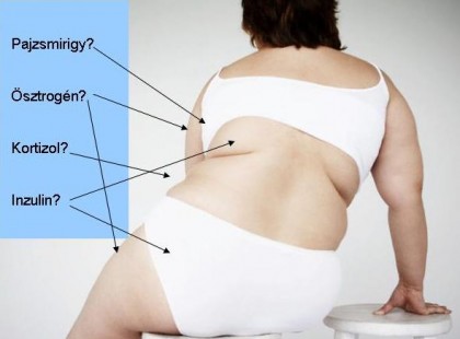 Kiborultam, amikor a doki elmondta, mitől hízom! Te gondoltad volna ezt?