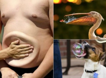 12 kép amely a TÖKÉLETES pillanatban készült