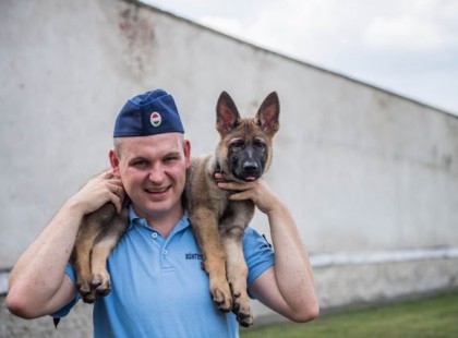 Nagyon nagyon cuki: ő Zserbó, a legfiatalabb drogkereső kutya Magyarországon. Figyeljétek, hogy dolgozik és mi mindenre képes! ❤