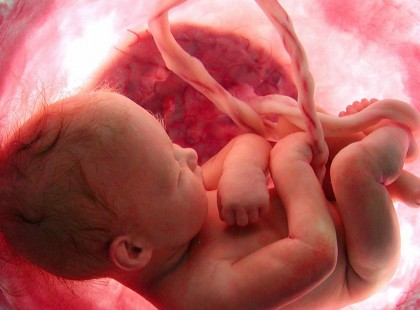 Így választja meg a lélek a családtagokat és barátokat mielőtt leszületne a Földre!