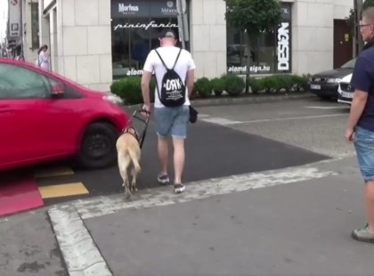 Videón, ahogy egy figyelmetlen autós kis híján elgázol egy vakvezető kutyát és gazdáját Budapesten