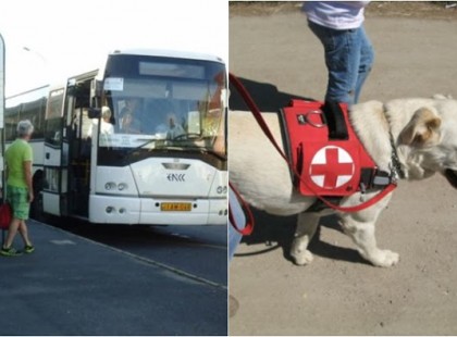 A vak fiammal Ádikával felszálltunk erre a vidéki buszra a vakvezető kutyusával együtt. A buszsofőr, amit művelni mert velünk arra nincsenek szavak..Ti mit tettetek volna? Köszönjük Szépen a segítségeteket!