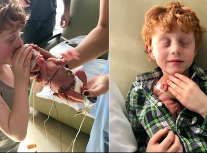 MAJDNEM BELEHALT A KISFIÚ, AMIKOR AZ ÉDESANYJA ELVESZÍTETTE MAGZATÁT. ÉVEKKEL KÉSŐBB ÍGY ÖLELI MAGÁHOZ KORASZÜLÖTT TESTVÉRÉT!