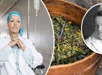 Essiac: a gyógynövény elixír, melyet a gyógyszeripar dugott el a világ elől