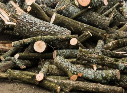 Óriási bajban vannak, akik fával fűtenek!