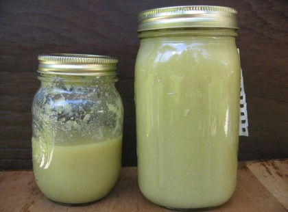 A buddhisták ötezer éves titkát árulom most el: az infarktus, a rák és az öregedés legjobb ellenszere