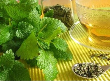 A hosszú élet titka a citromfű – mutatjuk hogy alkalmazd ha nem csak hosszú, de egészséges életre is vágysz!