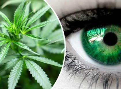 Elképesztő dolgot tesz a látásunkkal a kannabisz!