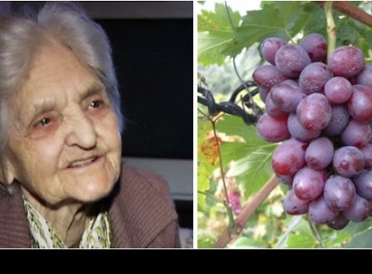 Frissen szedett házi szőlőt árult a 82 éves nagymamám, majd kivonult a NAV és ILYEN gusztustalan módon büntette meg őt! A bírságon az egész falu felháborodott! Legyen kedves ossza meg, akit szintén felháborít ez az egész!