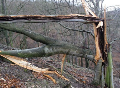FELHÍVÁS! ORKÁN erejű szélre figyelmeztetnek! Kiadta a másodfokú figyelmeztetést az Országos Meteorológiai Szolgálat! 14 megyére adtak ki vészjelzést! EZEKBEN A MEGYÉKBEN SEMMIKÉPPEN NE HAGYJA NYITVA AZ ABLAKOT, MERT AKÁR BE IS TÖRHET!!! >>>