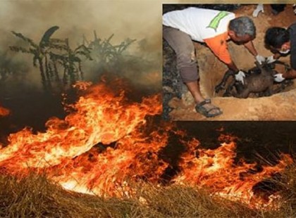 A Nutella hátborzongatóan sötét titka: ha ezt tudod, talán soha nem eszel többé!