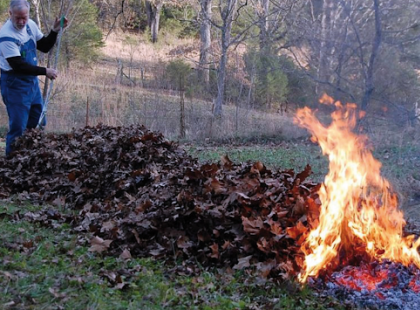 Figyelem! Súlyos bírság járhat érte ősszel: Október 1-től 100 ezer forintos bírság is járhat, ha Ezt akarja csinálni - Saját udvaron vagy kertben sem lehet! Mutatjuk: