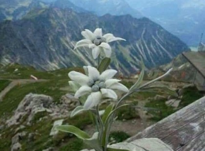 MIÉRT KIABÁLUNK AMIKOR DÜHÖSEK VAGYUNK?