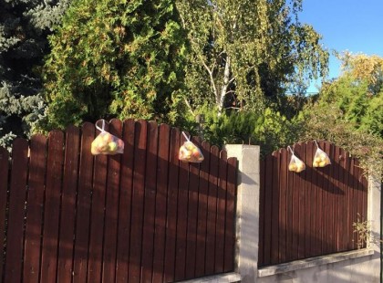 Én elkezdtem, csináljunk belőle mozgalmat! Ha túl sok gyümölcsöd termett és nem tudod felhasználni, kínáld fel annak, akinek nincs!