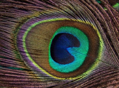 A lélek horoszkópja! Egyiptomi horoszkóp, amely sok mindent elárul rólad!