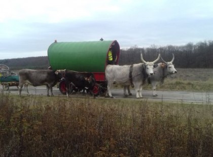 Halálra gázolták Franciaországban a nomád életet élő Gecse Balázs Gergőt