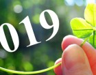 Fantasztikus hír! Ennek a 3 csillagjegynek minden terve fog teljesülni 2019-ben!