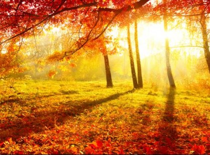 HURRÁ!!! VÉGRE!!! JÖN A VÉNASSZONYOK NYARA!Megvan a dátum is! Pontosan mutatjuk mettől-meddig tart!