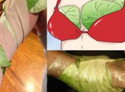 A friss káposztalevél úgy vonzza magához a betegségeket, mint egy mágnes! Használjuk ki a gyógyerejét!friss