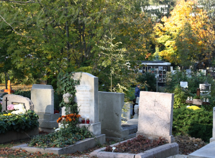 Reggel kimentem a temetőbe a férjemhez, de a sírja helyén csak egy halom földet találtam - Olyat tett az anyósom a férjemmel az ő fiával, amit nem bocsátok meg soha!