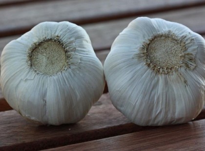 Veszélyes a kínai fokhagyma! Így különböztetheted meg a hazaitól!