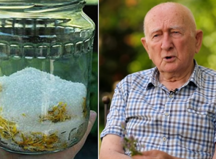 EBBŐL A NÖVÉNYBŐL KÉSZÍTETT SZIRUP AZ EGYIK LEGERŐSEBB CSODASZER A VILÁGON, MELY SZÁMOS BETEGSÉGET GYÓGYÍT! A BÜKKI FÜVESEMBER, GYURI BÁCSI AJÁNLÁSÁVAL! – SEGÍTSETEK MÁSOKHOZ IS ELJUTTATNI! OSSZÁTOK!