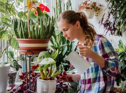 Ez a 10 növény azonnal pozitív energiát teremt az otthonodban. Nálad hányféle van?