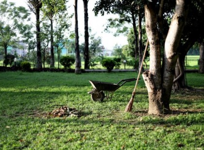 Felettébb furcsa pókok szaporodtak el hazánkban, jobb lesz vigyázni!