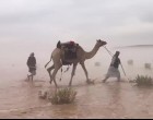 Özönvíz árasztotta el a szaúdi sivatagot, ilyet még a tevék és gazdáik sem láttak korábban