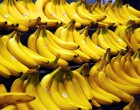 Eddig is szerettem a banánt, de mióta kutatók ezt mutatták ki róla, minden nap eszek belőle, hisz akár életet is menthet: