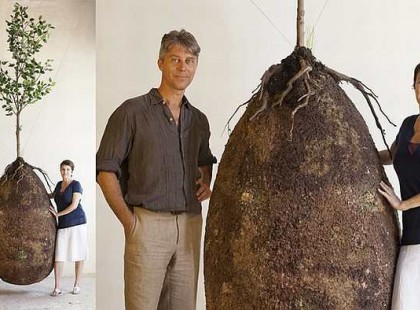 Viszlát koporsós temetés: az organikus zsák segítségével fa lesz az elhunyt testéből