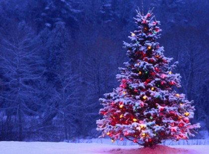 Sokkoló, amit a meteorológus állított.Ezért nem lesz fehér a karácsonyunk még hosszú éveken át.