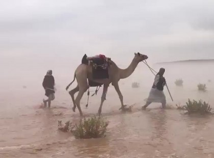 Özönvíz árasztotta el a szaúdi sivatagot, ilyet még a tevék és gazdáik sem láttak korábban