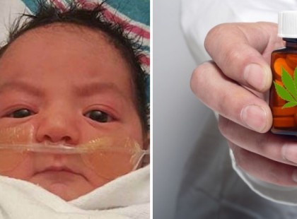 Kannabisz olaj: rákos csecsemő gyógyult fel a kezelést követően!