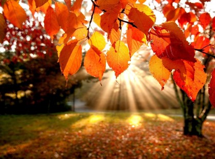 Megvan a dátum!Eddig évezhetjük a jó időt