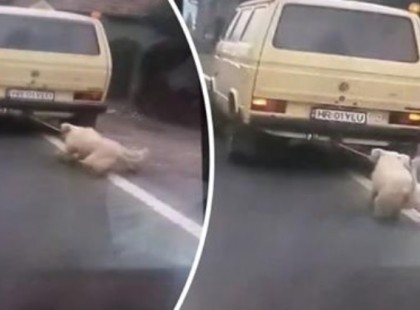 Embertelenség: kocsija mögé kötve húzta a betonon saját kutyáját egy csíkszentkirályi férfi!Mit érdemelne a 