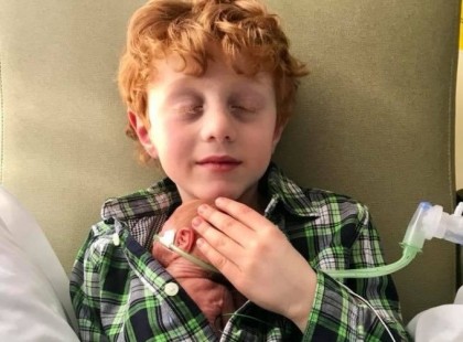 Megható fényképek: Egy kisfiú első találkozása újszülött kisöccsével