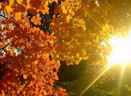 ilyen lesz az időjárás a héten